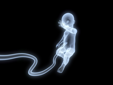 93817534.jpg 93817534.jpg