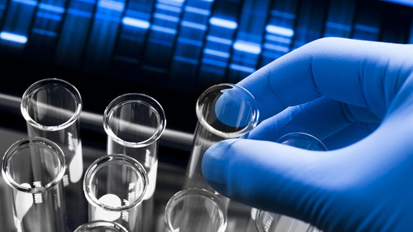 caso_stamina_6601.jpg caso_stamina_6601.jpg