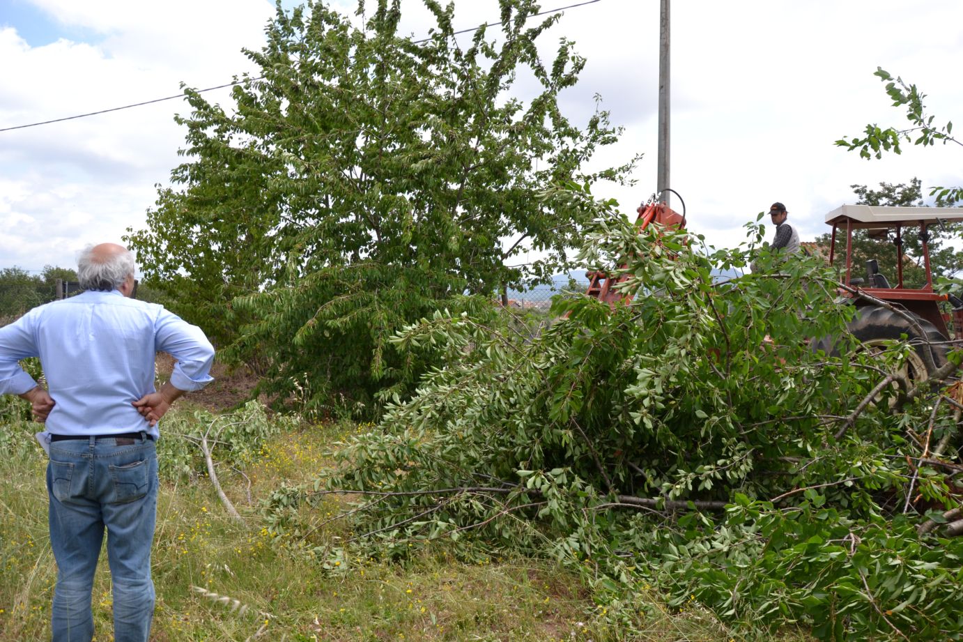 dsc_0545.jpg dsc_0545.jpg