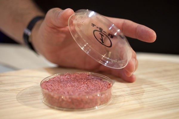 hamburg.jpg hamburg.jpg