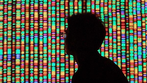 human-genome-ten-years-in_17889_600x450.jpg human-genome-ten-years-in_17889_600x450.jpg