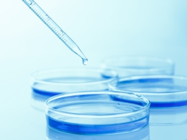 stamina.jpg stamina.jpg