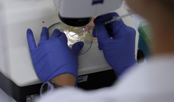 stamina.jpg stamina.jpg