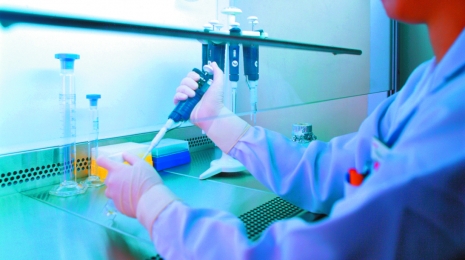 straminali.jpg straminali.jpg