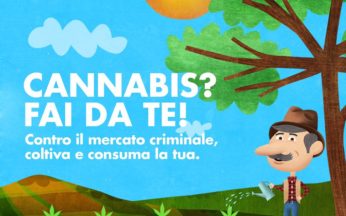 immagine-legalizziamo