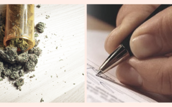 cannabis e biotestamento