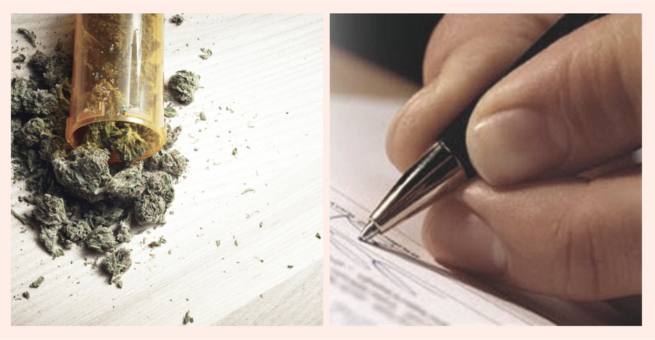 cannabis e biotestamento