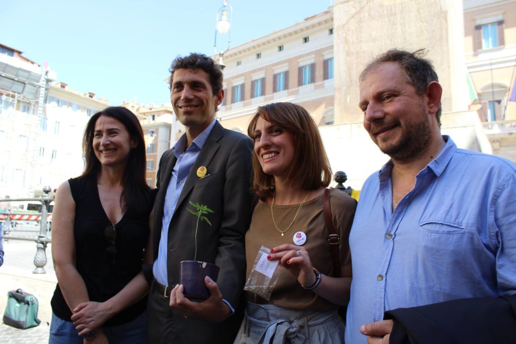 corsi di coltivazione cannabis