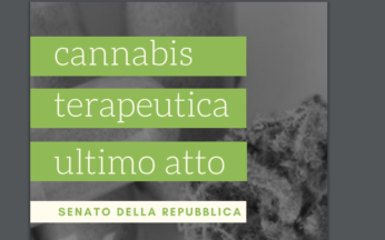 cannabis uso terapeutico