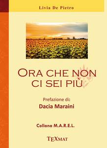 Ora che non ci sei più