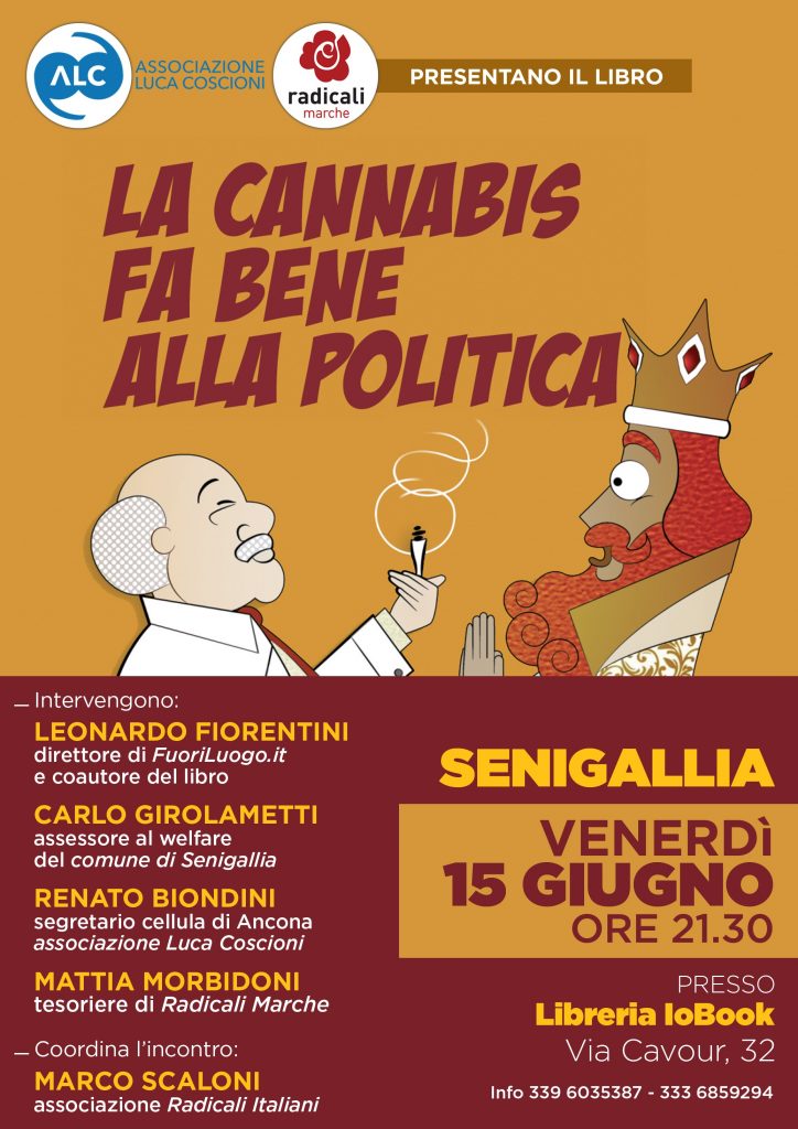 senigallia la cannabis fa bene alla politica