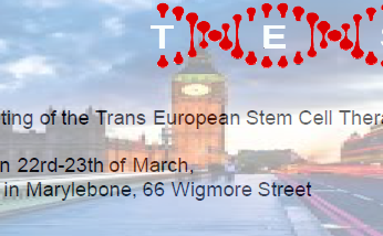 Work meeting trans european stell cell therapy society