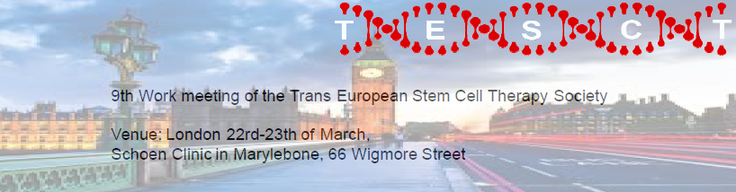 Work meeting trans european stell cell therapy society