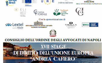 XVII Stage di Diritto dell'Unione Europea Andrea Cafiero