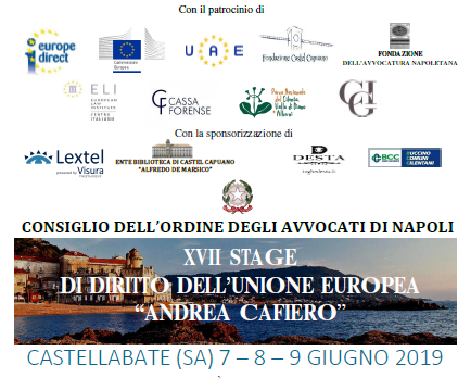 XVII Stage di Diritto dell'Unione Europea Andrea Cafiero
