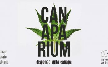 Canaparium