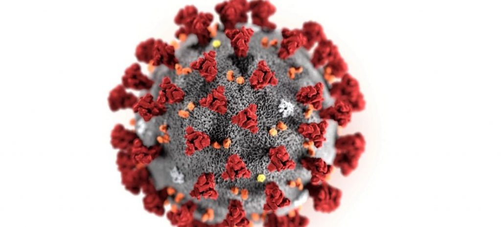 immagine coronavirus