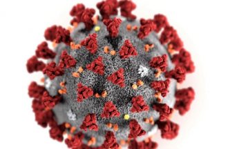 immagine coronavirus