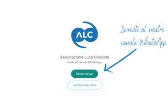 immagine che indica dove cliccare per accedere al canale whatsapp