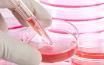 Ricercatore con provetta