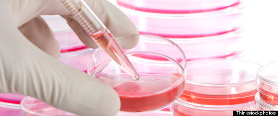 Ricercatore con provetta