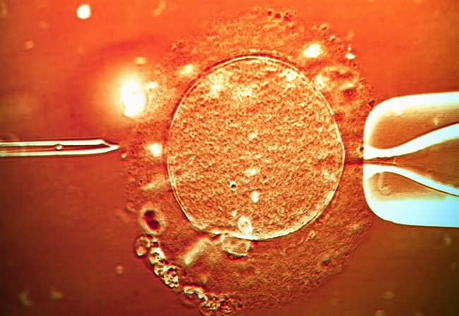 Fecondazione assistita e coronavirus
